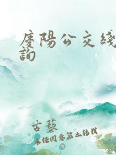 庆阳公交线路查询