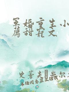 军婚重生小说推荐甜宠文