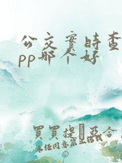 公交实时查询app哪个好