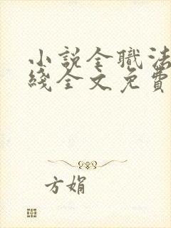 小说全职法师在线全文免费阅读