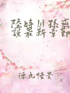 陆时川孙燕燕小说最新章节阅读免费