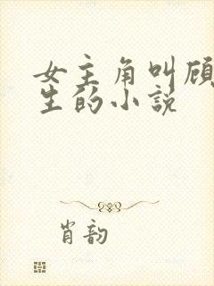 女主角叫顾晚重生的小说