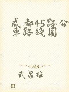 成都45路公交车路线图