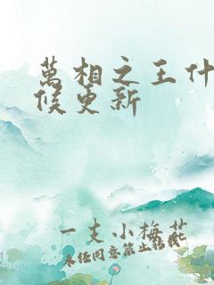 万相之王什么时候更新