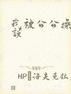 我被公公操了小说