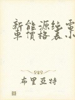 新能源纯电动汽车价格表小型