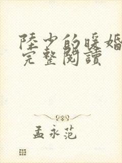 陆少的暖婚新妻完整阅读