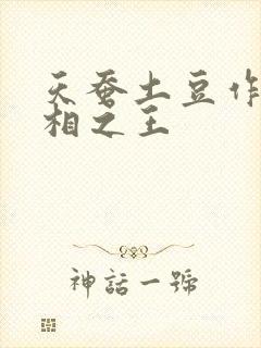 天蚕土豆作品万相之王