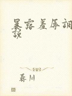 暴露羞辱调教小说