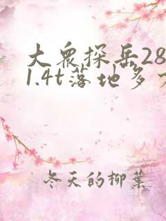 大众探岳2801.4t落地多少钱