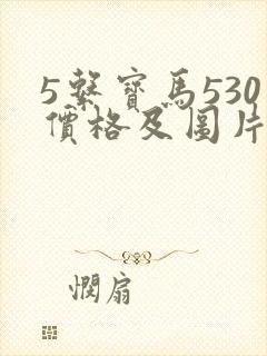 5系宝马530价格及图片大全