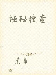 极秘搜查