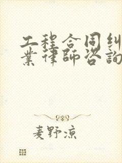 工程合同纠纷专业律师咨询