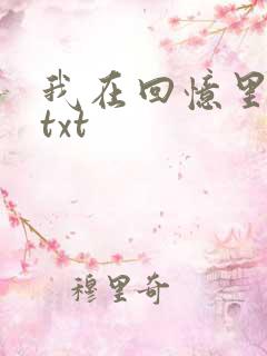 我在回忆里等你txt