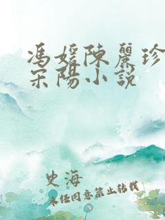 冯媛陈丽珍女婿宋阳小说