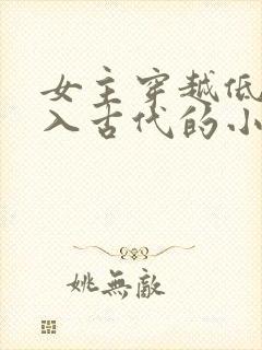 女主穿越低调融入古代的小说