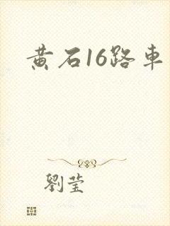 黄石16路车