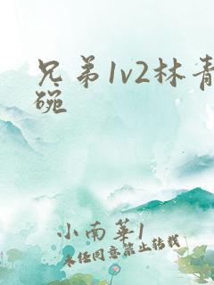 兄弟1v2林青碗 兄弟1v2林青碗
