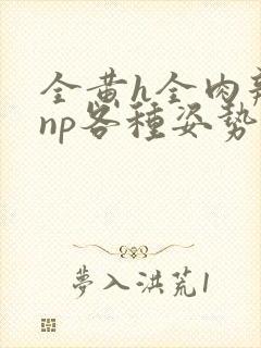全黄h全肉辣文np各种姿势调教