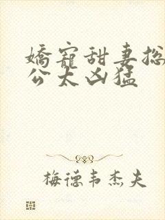 娇宠甜妻总裁老公太凶猛 娇宠甜妻总裁老公太凶猛