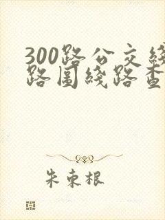 300路公交线路图线路查询