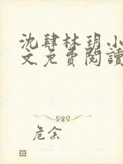沈肆林玥小说全文免费阅读