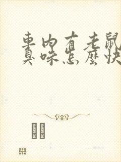 车内有老鼠尿味臭味怎么快速去除