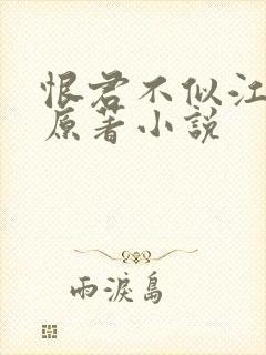 恨君不似江楼月原著小说