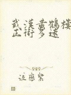 武汉黄鹤楼离汉正街多远