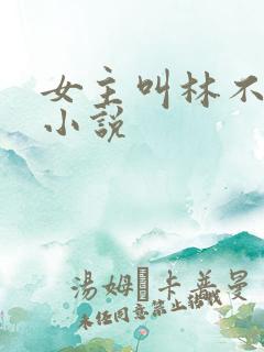 女主叫林不语的小说