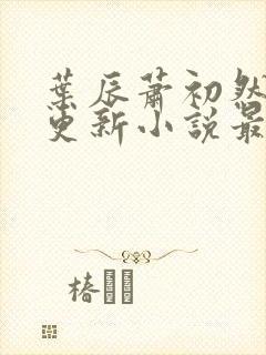 叶辰萧初然最快更新小说最新