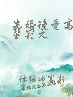 先婚后爱高干温馨宠文