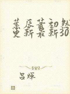 叶辰萧初然刚刚更新最新3030章