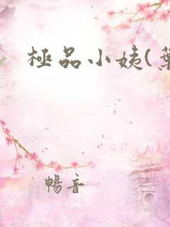 极品小姨(叶凡