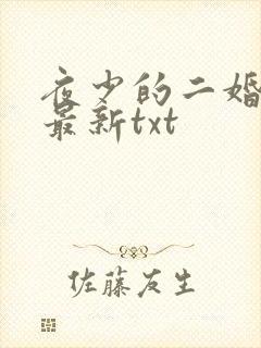 夜少的二婚新妻最新txt
