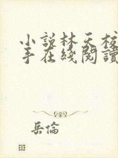 小说林天校花杀手在线阅读