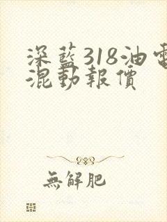 深蓝318油电混动报价