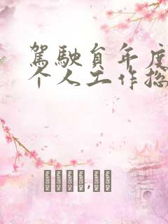驾驶员年度考核个人工作总结 驾驶员年度考核个人工作总结