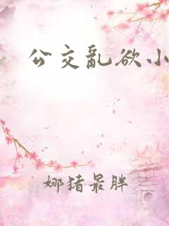 公交乱欲小说