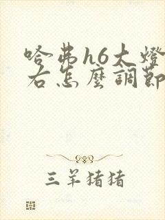 哈弗h6大灯左右怎么调节 哈弗h6大灯左右怎么调节
