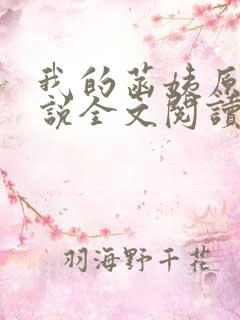 我的菡姨原著小说全文阅读