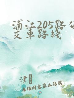 浦江205路公交车路线