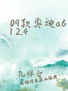 09款奥迪a6l 2.4