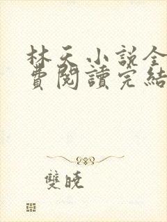 林天小说全文免费阅读完结篇