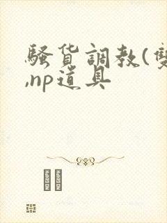 骚货调教(双性,np道具