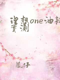 理想one油耗实测