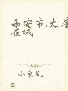 西安市,大唐不夜城