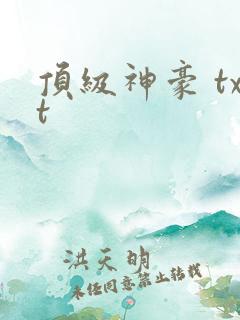 顶级神豪 txt