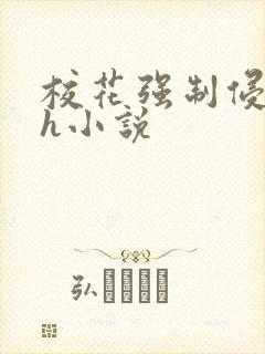 校花强制侵犯高h小说