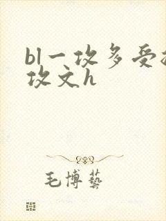 bl一攻多受总攻文h